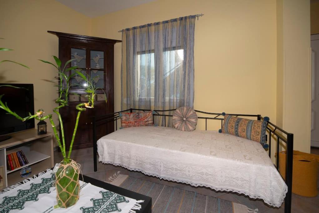 Μάνια Apartment ปีตาโกเรโย ภายนอก รูปภาพ